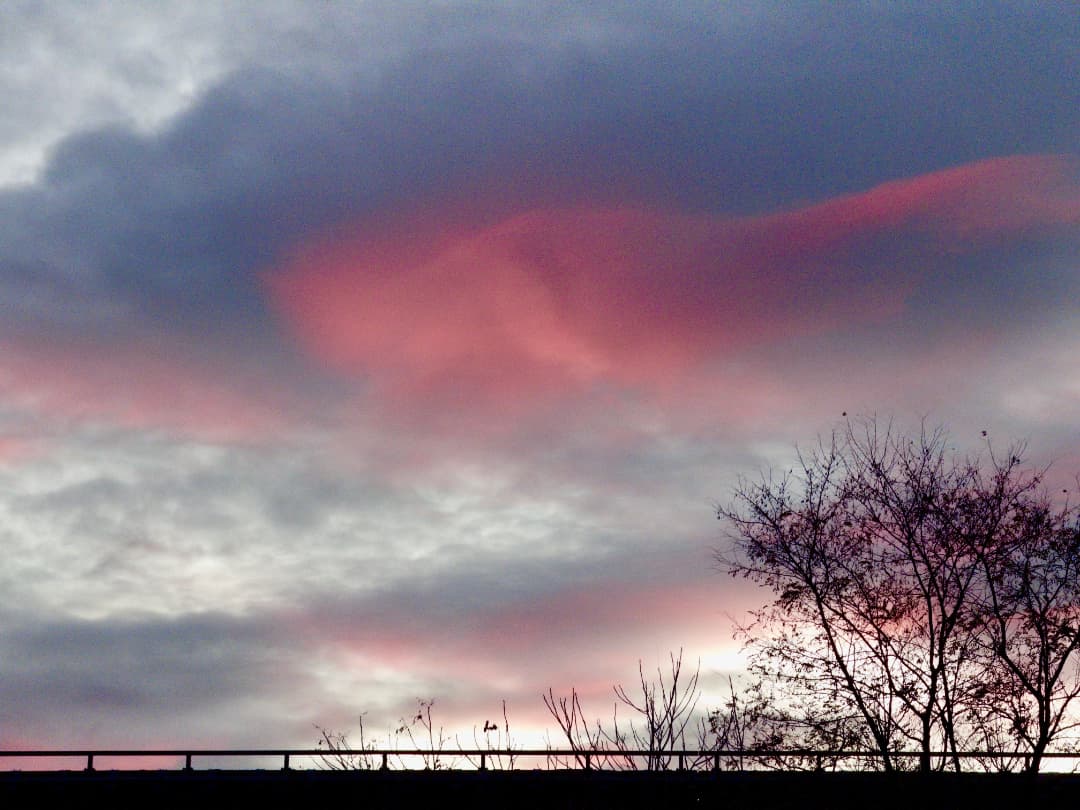 A photograph titled: Angels Glow by Floating Clouds. The photo is of clouds at sunset. The warm peach red of the sunset is very vivid. There is a tree with birds in the bottom right corner.