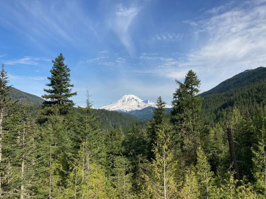 Mt. Rainier